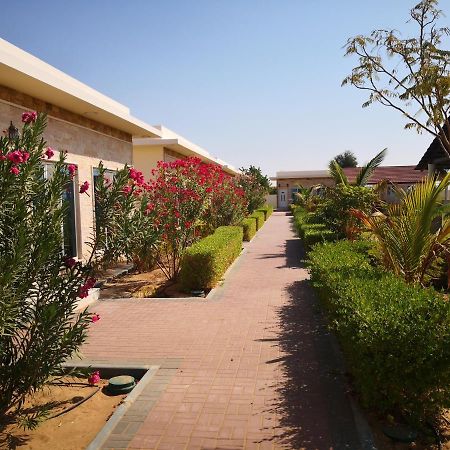 Almorouj Farm Inn - Bidiya Bagian luar foto